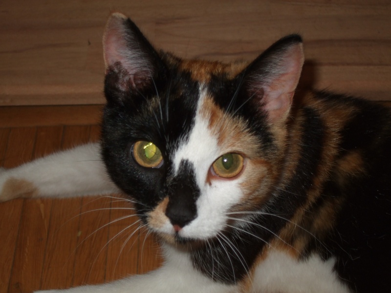 Ostern 2007 Orleshausen 130 